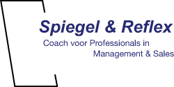 Logo Spiegel en Reflex